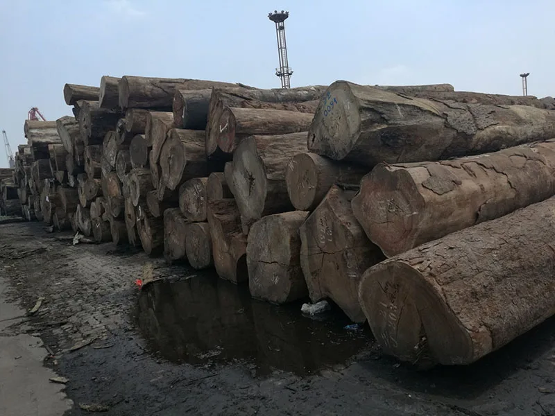 wood logs tali / rosewood / doussie / azobe rosewood logs