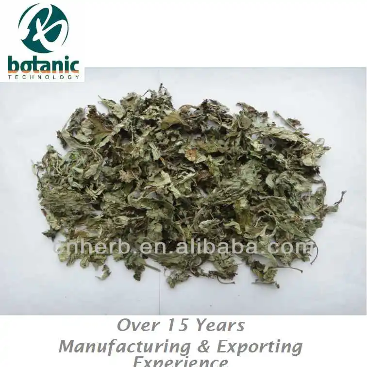 
100% Natural Villiform Argy Wormwood Leaf 