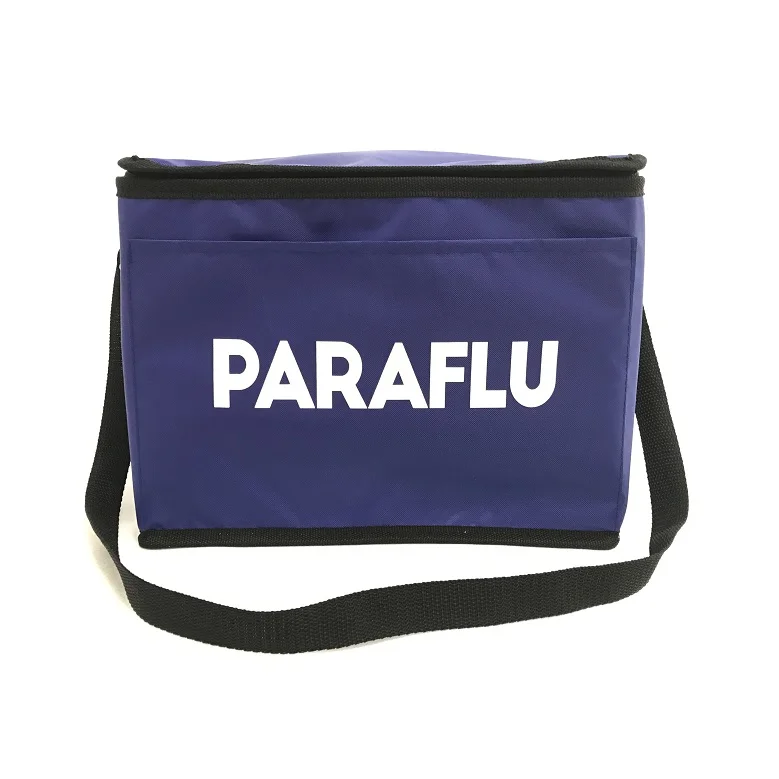 China Zipper Disposable Food Divider Satchel Plastic Car Ice insulated lunch Cooler Bag