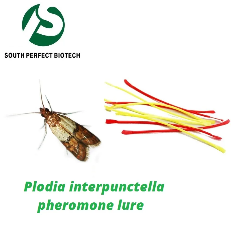 Plodia interpunctella насекомые феромоны для буфета ловушка для моли