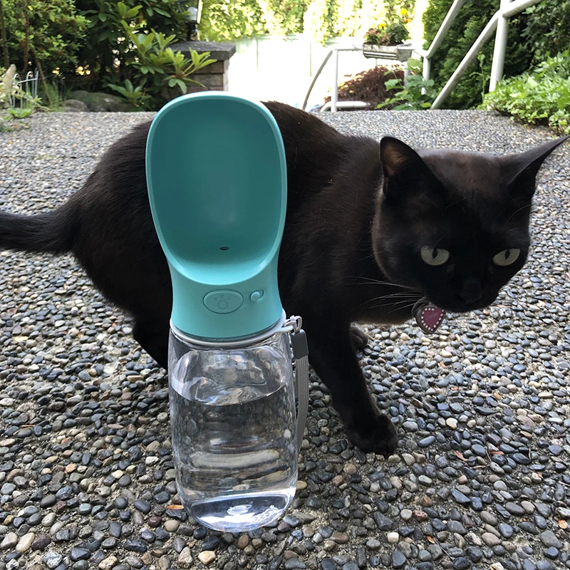  QQPETS новый дизайн 550 мл pet портативная чашка для воды