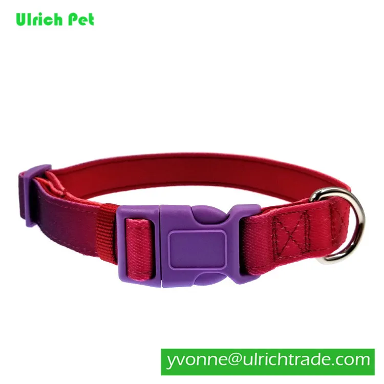 WY100 Pet Supplies Hot Sale Dog Training Collar