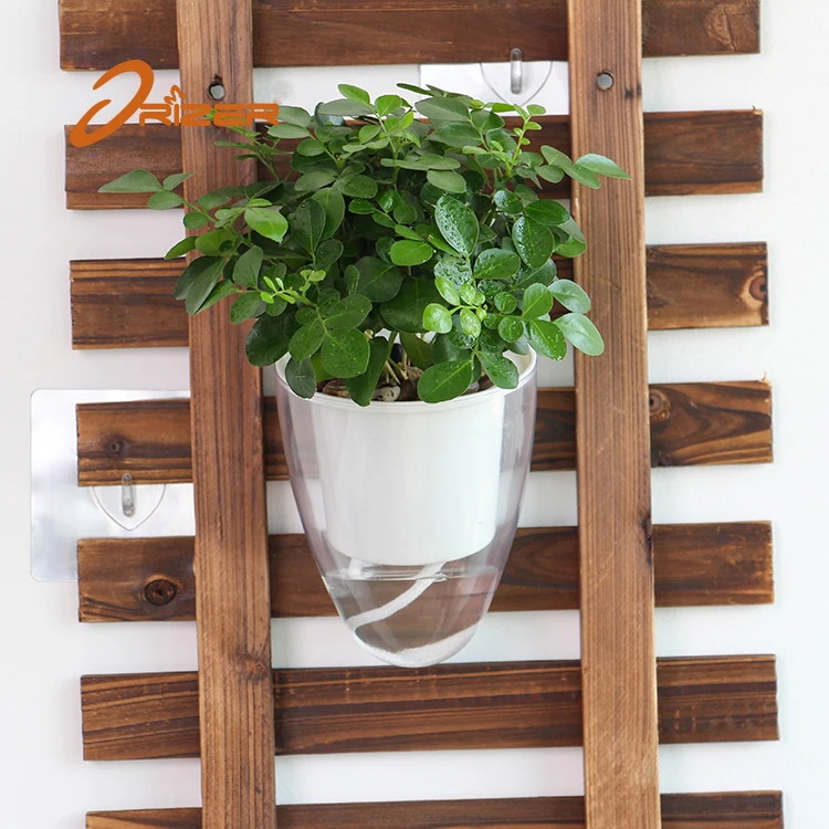 2020 trending product ABS material wall hanging decorative indoor transparent flower pot