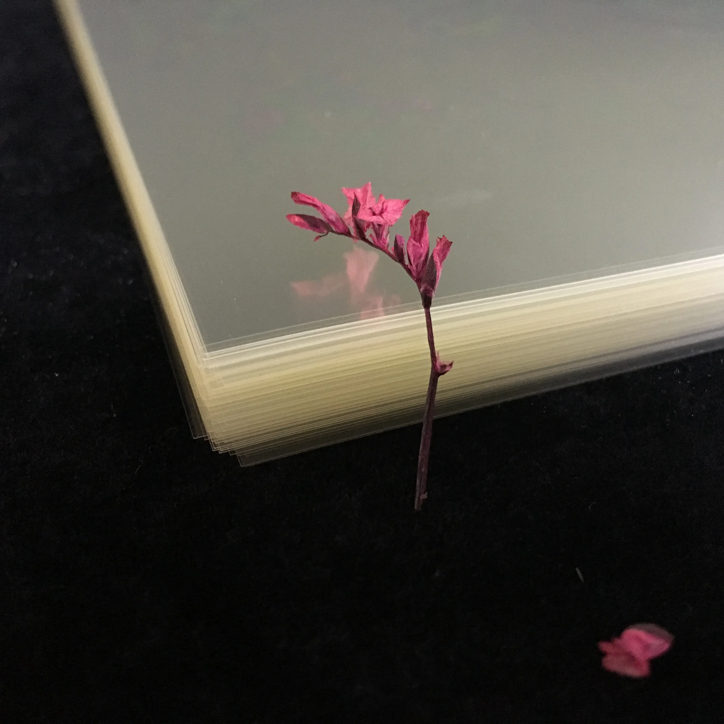 Transparent 100microns Super Clear Mylar Inkjet Film For Offset Printing Inkjet Printing