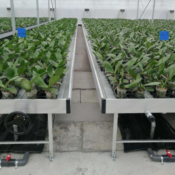 Good quality Greenhouse Rolling Bench Growing Table With Upright Pipe Trellis