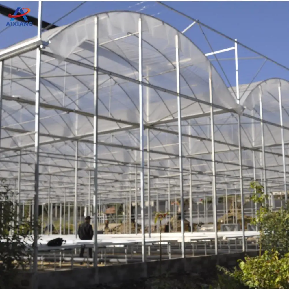 AiXiang низкая стоимость туннеля 0,15 мм полиэтиленовой пленки сельскохозяйственного коммерческих парниковых