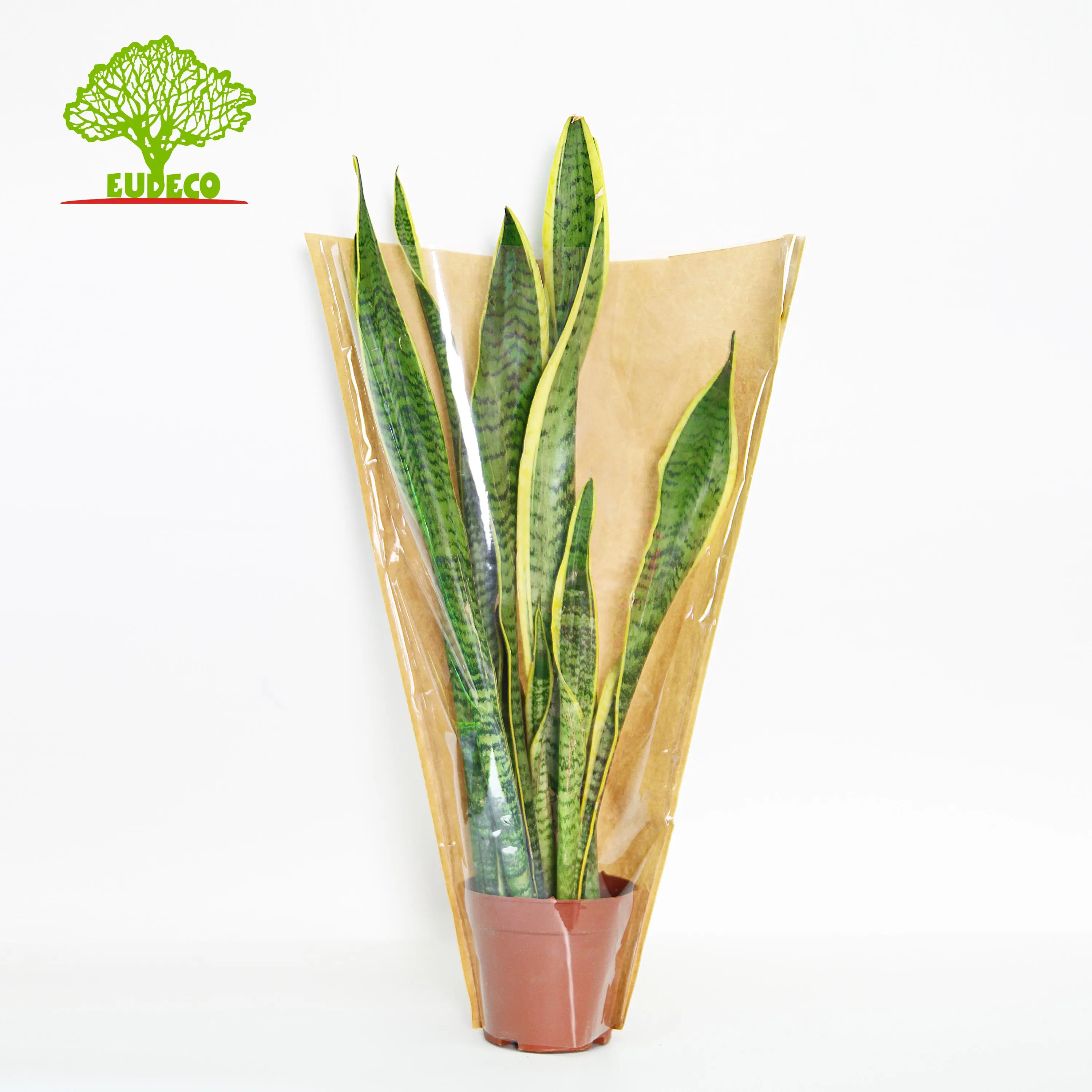 Cheap Kraft Paper Packaging Material For The Flowers And Plants With Your Own Logo