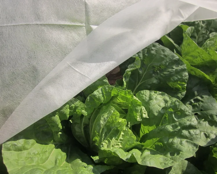 UV stabilized 17g 30g anti frost breathable polypropylene non woven garden TNT non-woven fabric