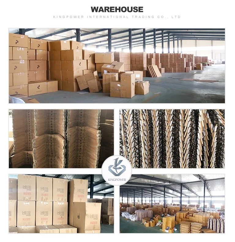 paste-pic-dp_uuid_ck3hm