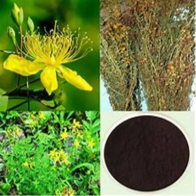 Hypericum Perforatum P.E.