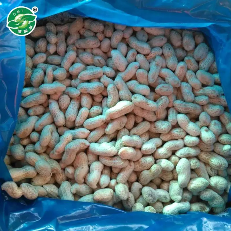  Стандартная экспортная упаковка HACCP замороженные овощи и арахис с красной кожей