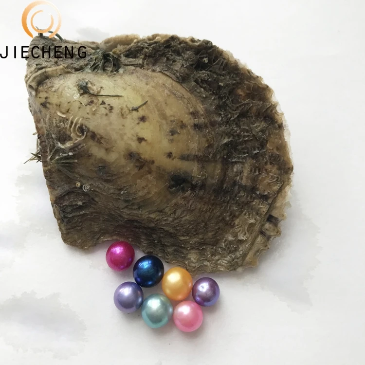 2018 Hot sell akoya natural saltwater pearl oysters for offers sale