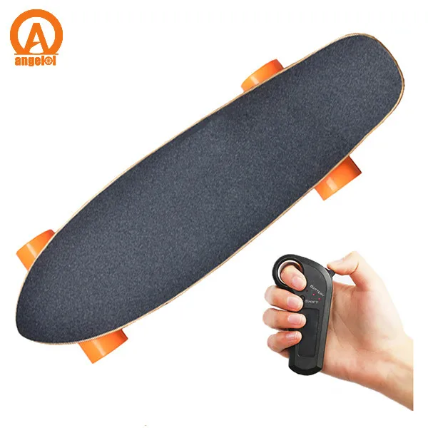 professional small fish electric skateboard go skateboard