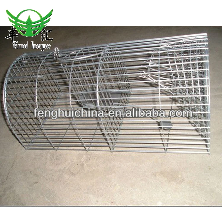 mice trap mole trap vole trap