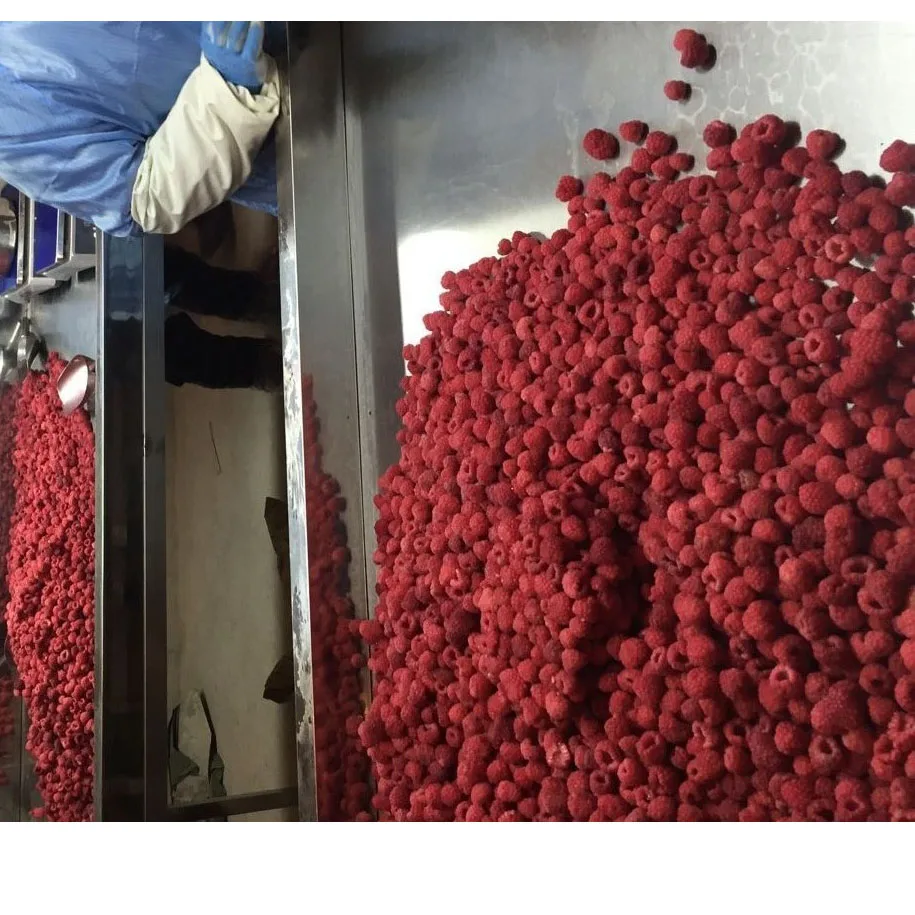 
new season good quality good price Frozen Raspberry whole IQF Raspberry whole Individual Quick Frozen Raspberry 