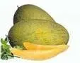 
Xinjiang Cantaloup,Hami melon 
