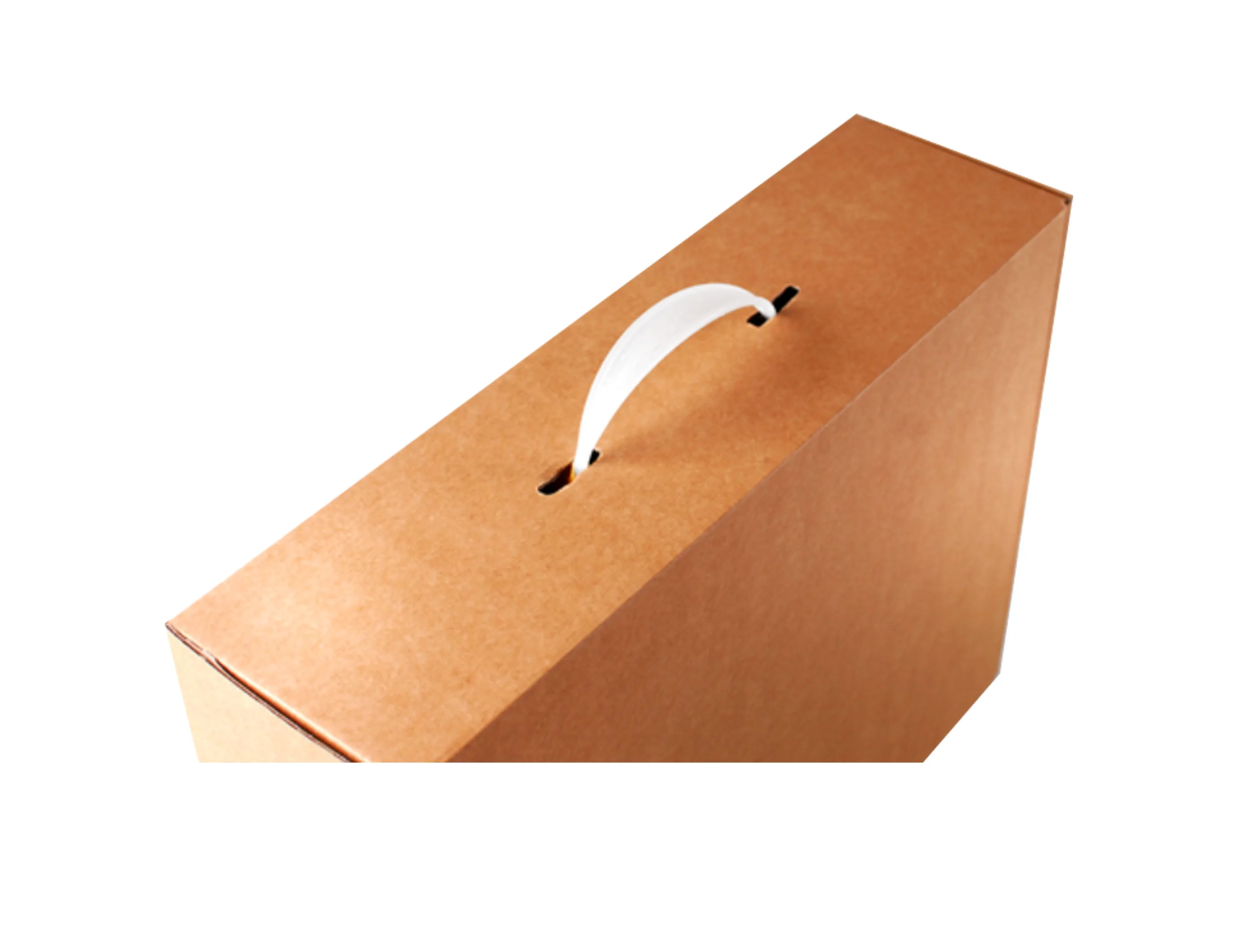 Carrying Case Mailer Box With Handle