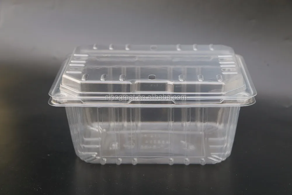 GLT-84B6 plastic tomato fruit clamshell container,plastic fruit tray for strawberry