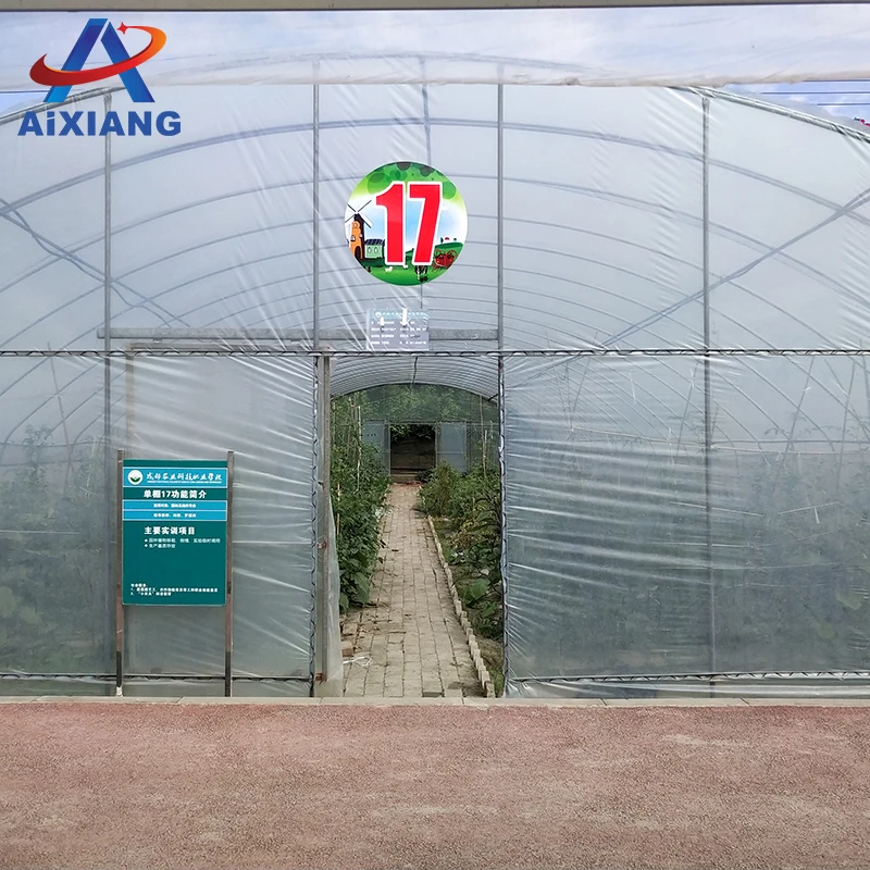 AiXiang хорошее качество томатной/клубника/салат гидропоники пластиковый парник