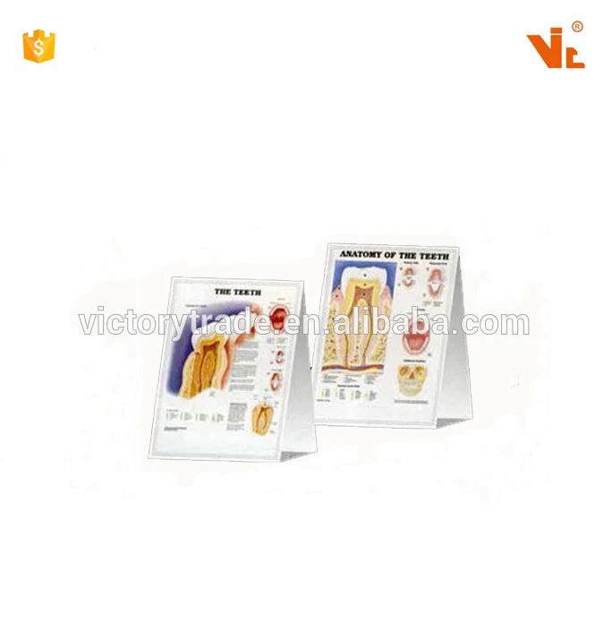 V--DC01 New Design 2017 Customized 3D  Chart Triangle Table Desk Calendar