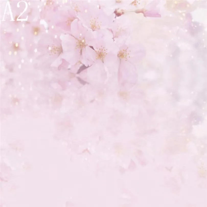 wholesale photography supplies