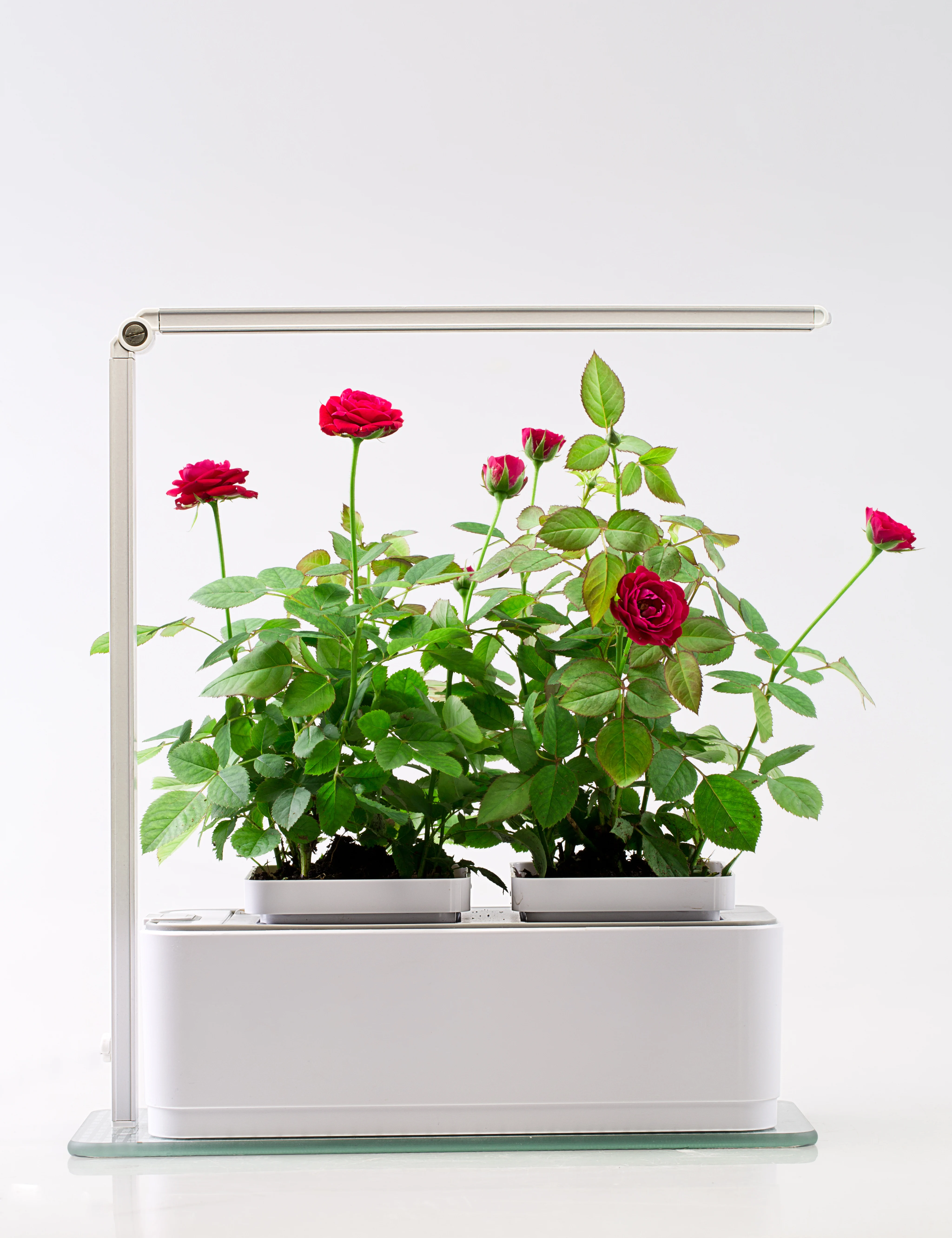 202 органические системы гидропонного выращивания, домашний светодиодный светильник для умного дома и сада, системы гидропонных теплиц для домашнего сада