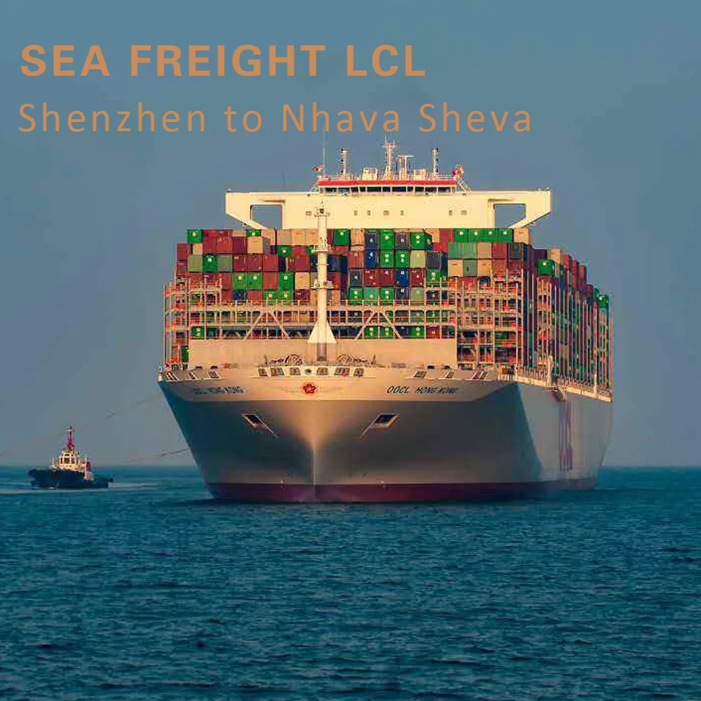Cheap Sea Freight LCL China to Mumbai India 13 Days / Sea Cargo Shipping Shenzhen to Mumbai by China Forwarder