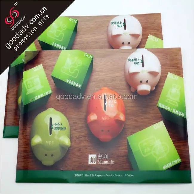 Plastic file folder/pp folder file