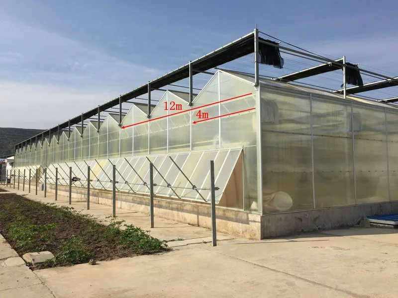 Hot-selling agricultural greenhouses Small greenhouses hydroponic greenhouse systemsare for sale