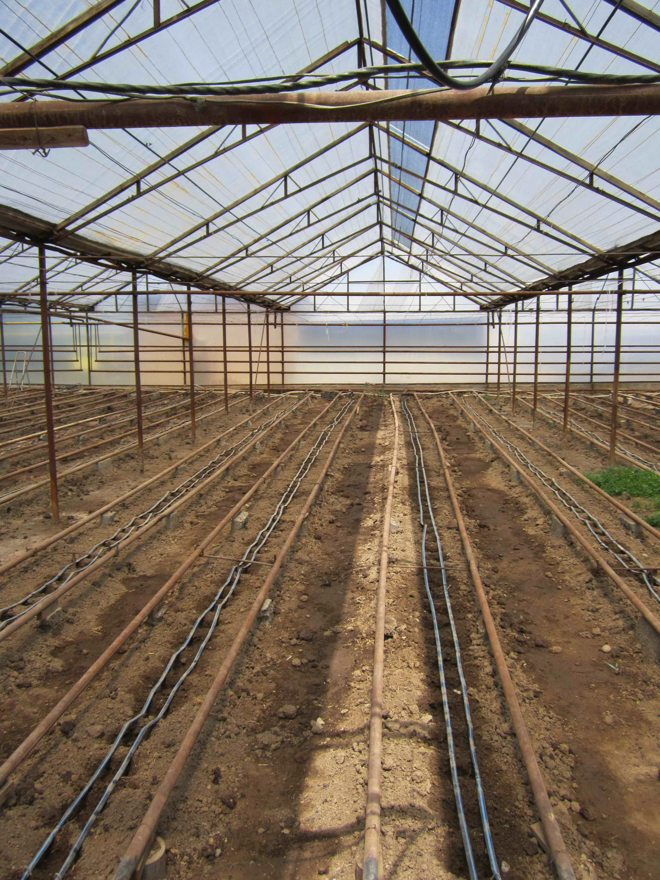 Gothic style Plastic film vegetable polytunnel greenhouse for sale