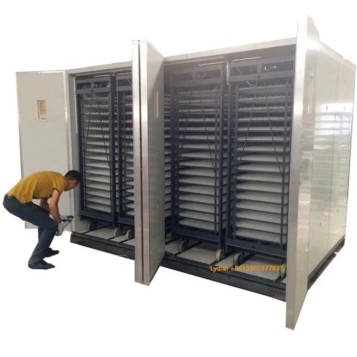 poultry egg incubator 20000 incubator, 19712 chicken egg incubator (Whatsapp: +8615965977837)