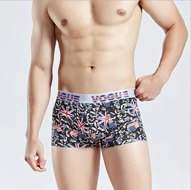 2019 New factory wholesale Fashion Boxers  Men Underwear Men  Cuecas Masculina Men Boxers Underpant