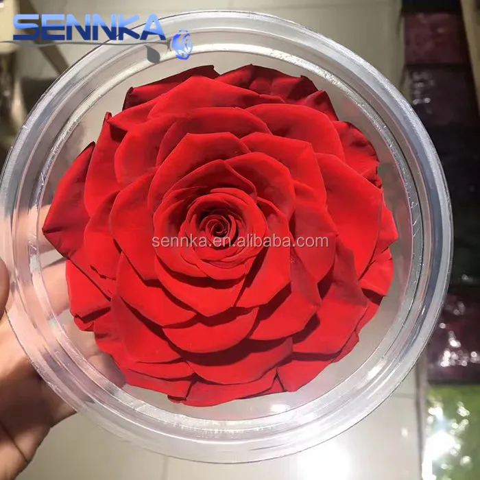 Первичный поставщик, Китай, оптовая продажа, консервированные свежие цветочные розы