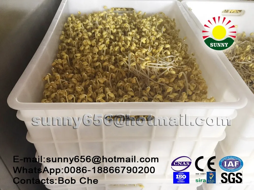 
Seed germination equipment, cattle and sheep feed, alfalfa growth equipment ean Sprout Growing System 