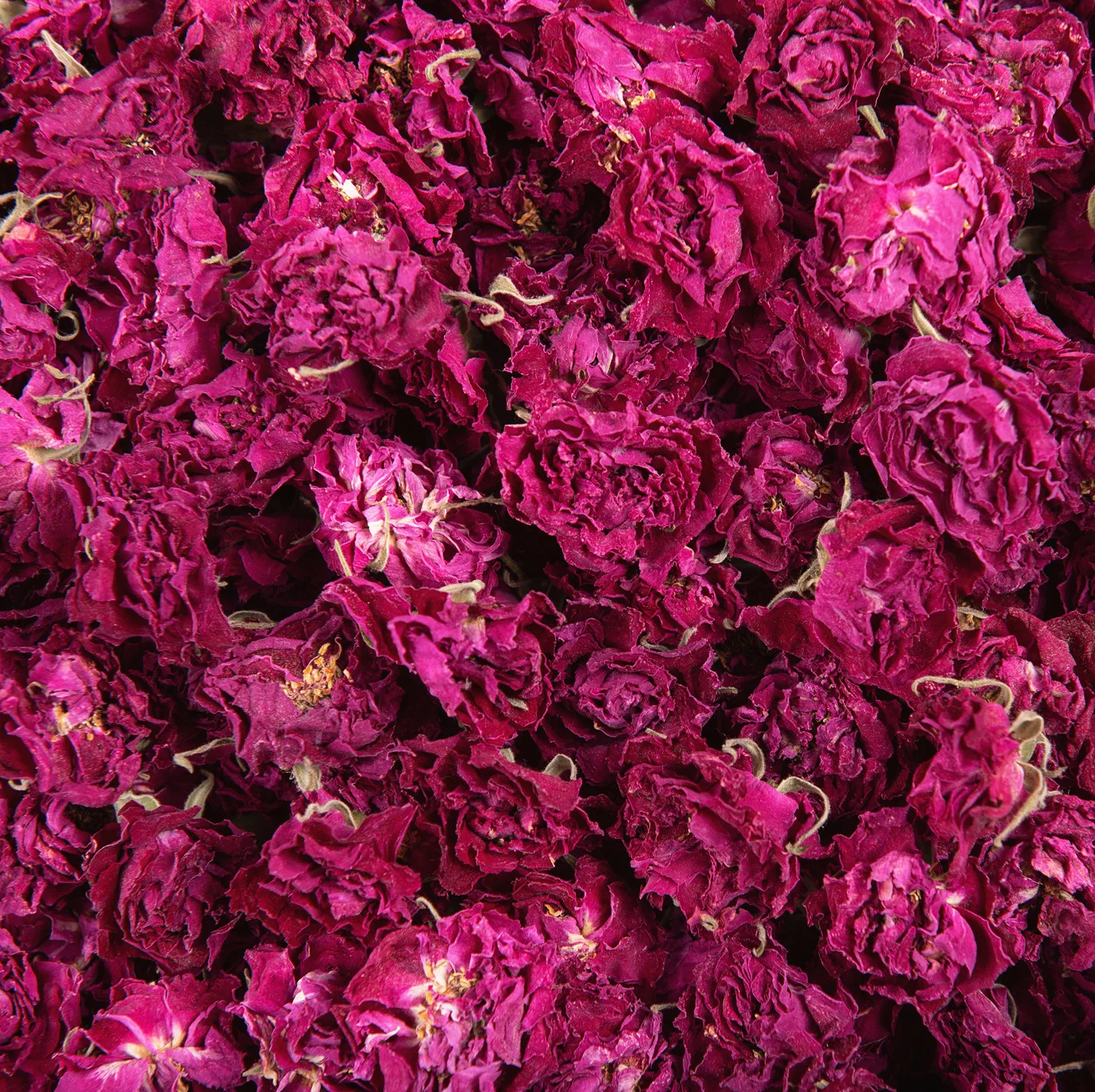 
Factory Supply Dried Rose Corolla in Bulk for Tea/Chinese Blooming Flower Tea 