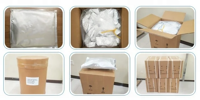 
Pancreatin Powder/Pancreatic Enzyme/Top sale Pancrentin from Swine stomach with best price 