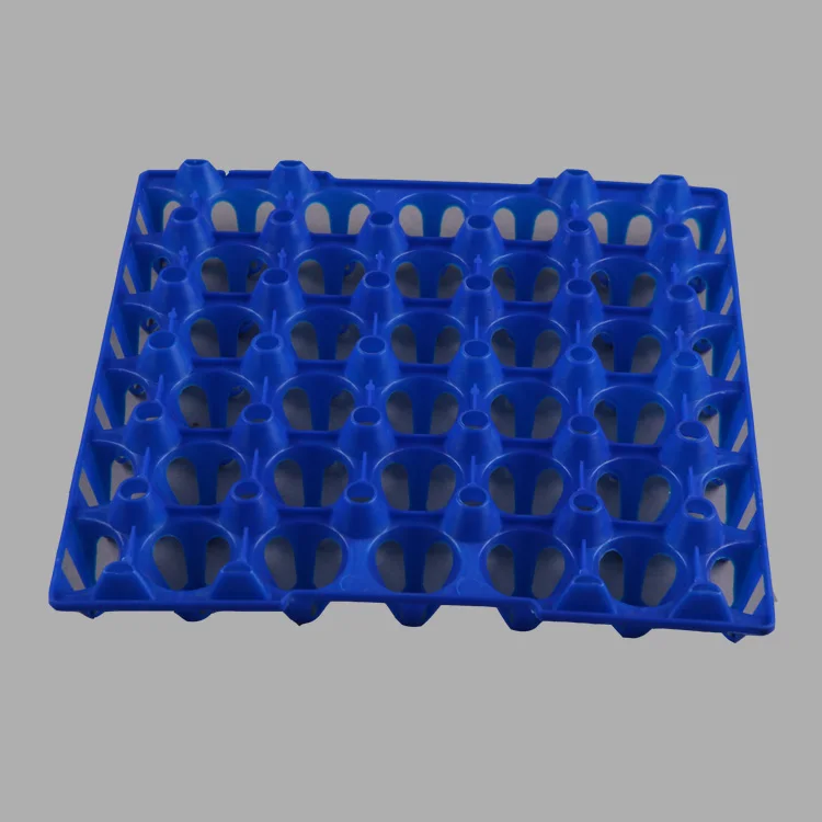plastic incubator tray for eggs