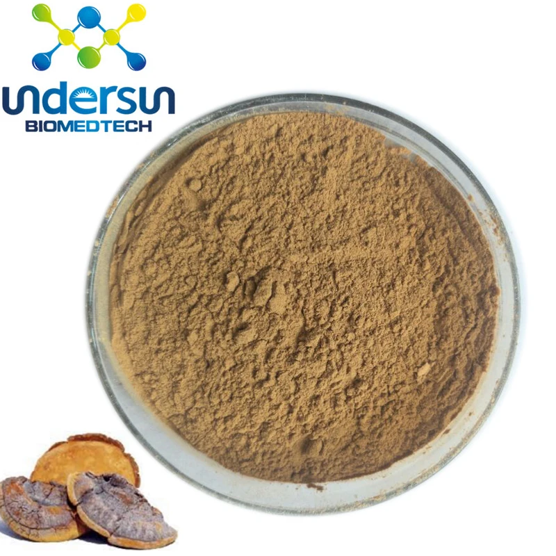 Factory supply Phellinus linteus polysaccharides/Phellinus Igniarius extract