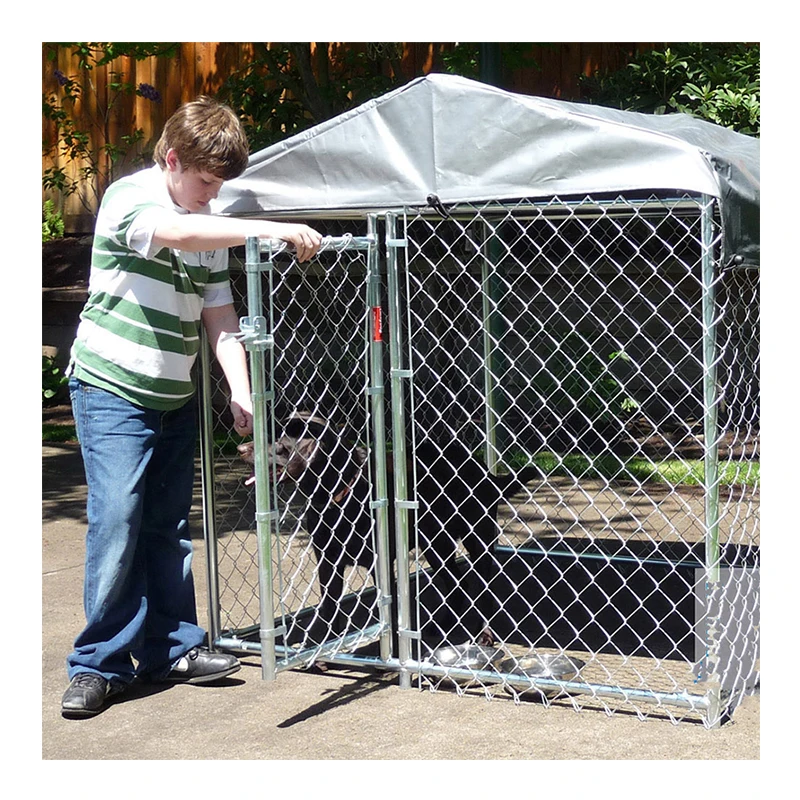 6m x 6m 4m x 2m large garden chicken run /walk in chicken pen