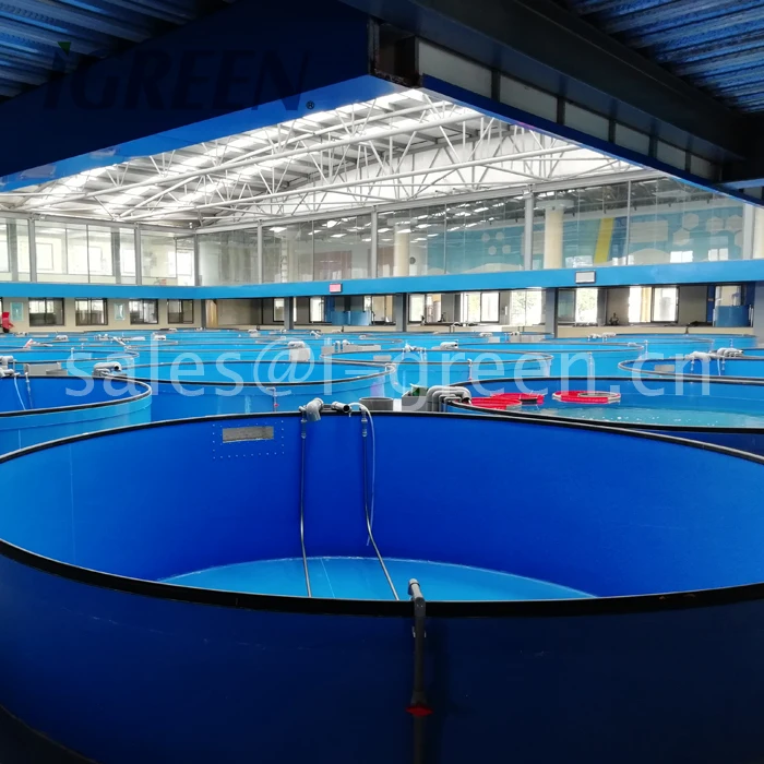 Recirculating aquaculture system for fish(150--600cbm)