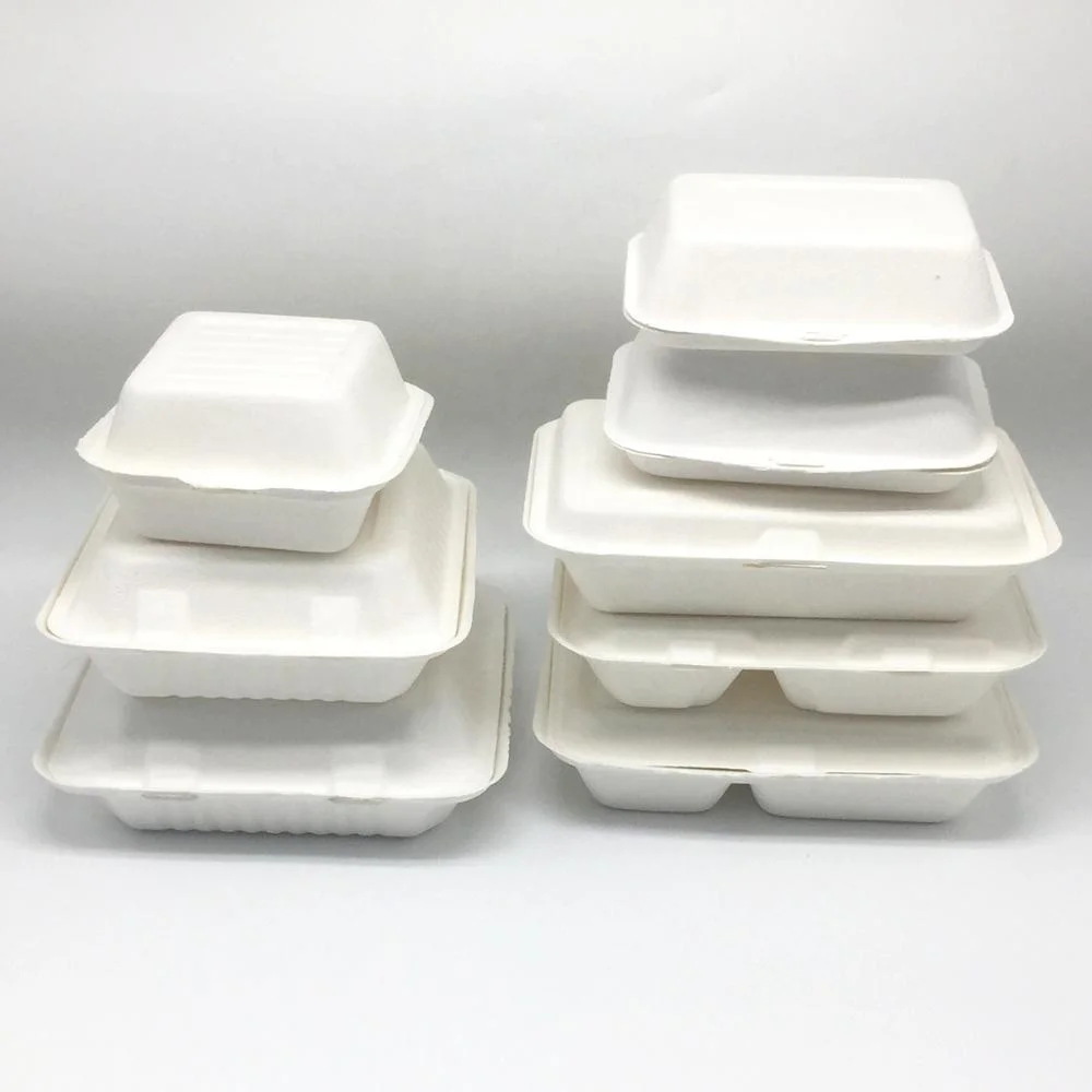 Wholesale disposable food packaging bagasse sandwich takeout box biodegradable container