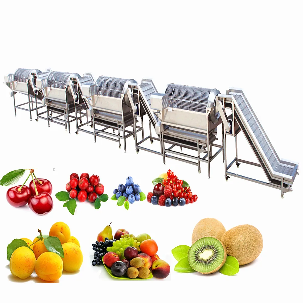 Fruits and Vegetables Processing Line for Olive Washing Machine with Olives Sorting Equipment