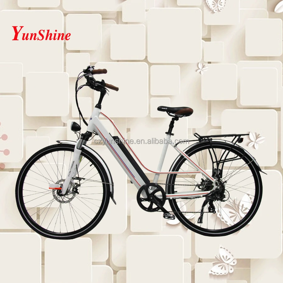 
Country woman, canada electric ebike with speedometer 