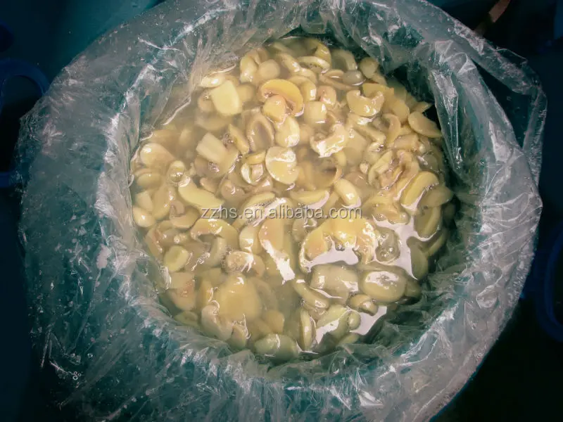 
champignon mushroom in drum 50kg 