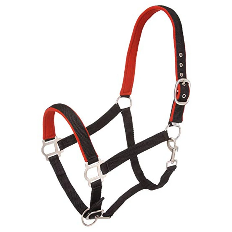 
Custom Horse Fly Mask with Ears 