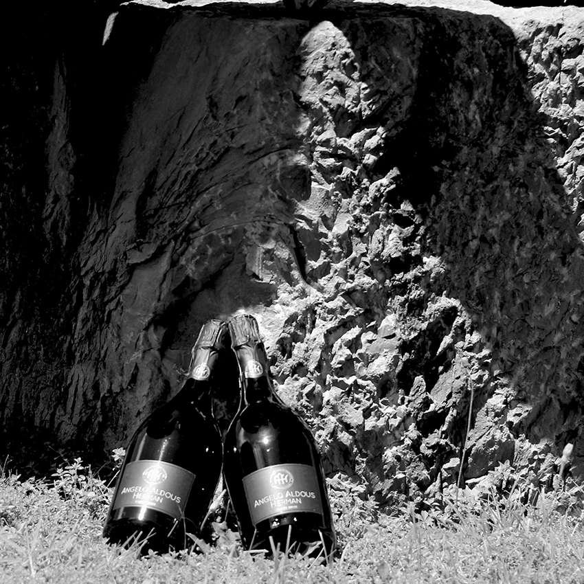 Wholesale Family Alcohol 12.5% Sweet Taste White Sparkling Table Wine