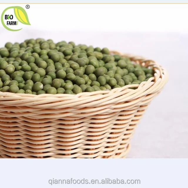 Healthy Organic Green Soybean Noodle/italian pasta