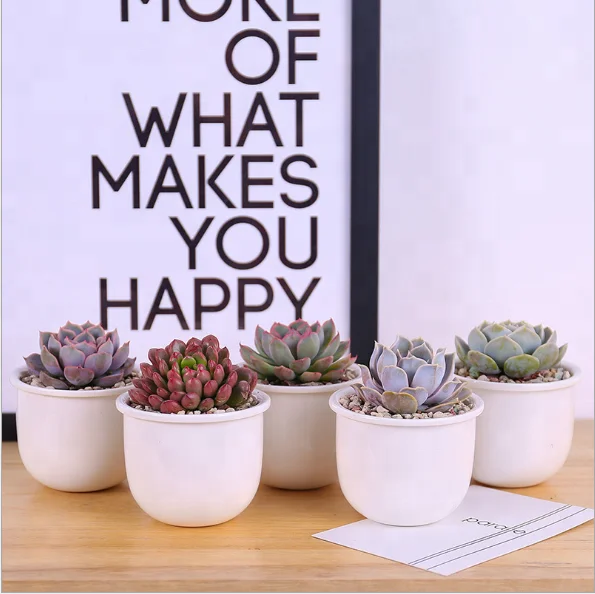 Creative Ferris Wheel Flower Pot