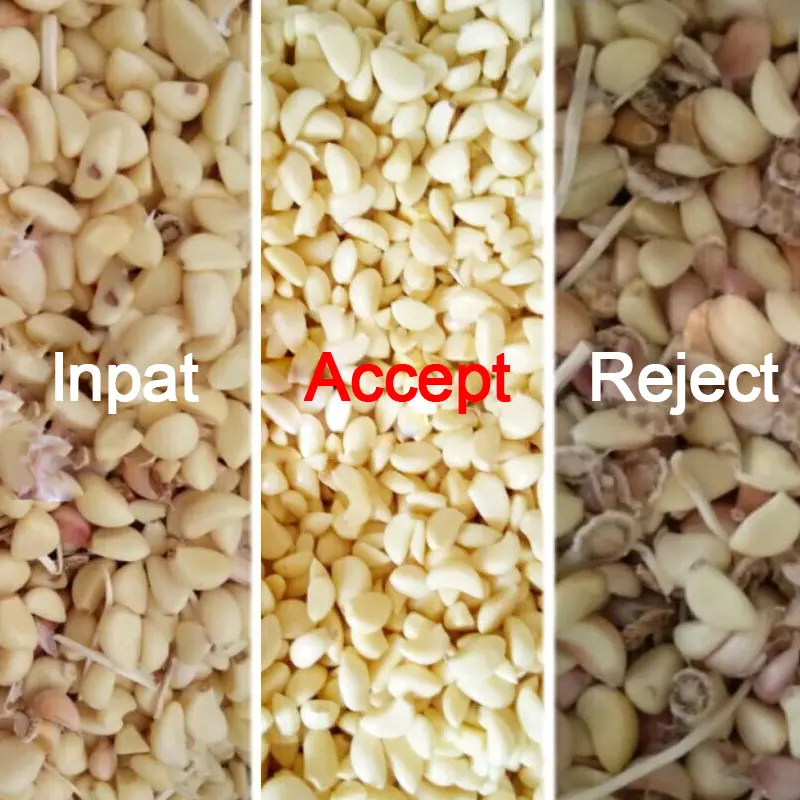 Black Garlic Sorter Processing Machine Peeled Garlic Sorting Machine