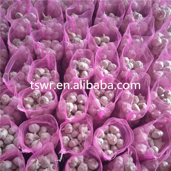 
high quality fresh gralic best price garlic white garlic 